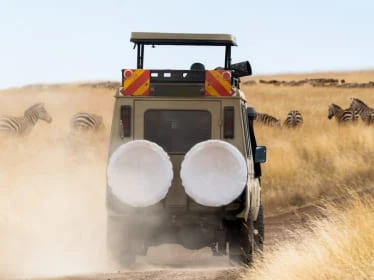 Pick-Up & Drop-Off Service